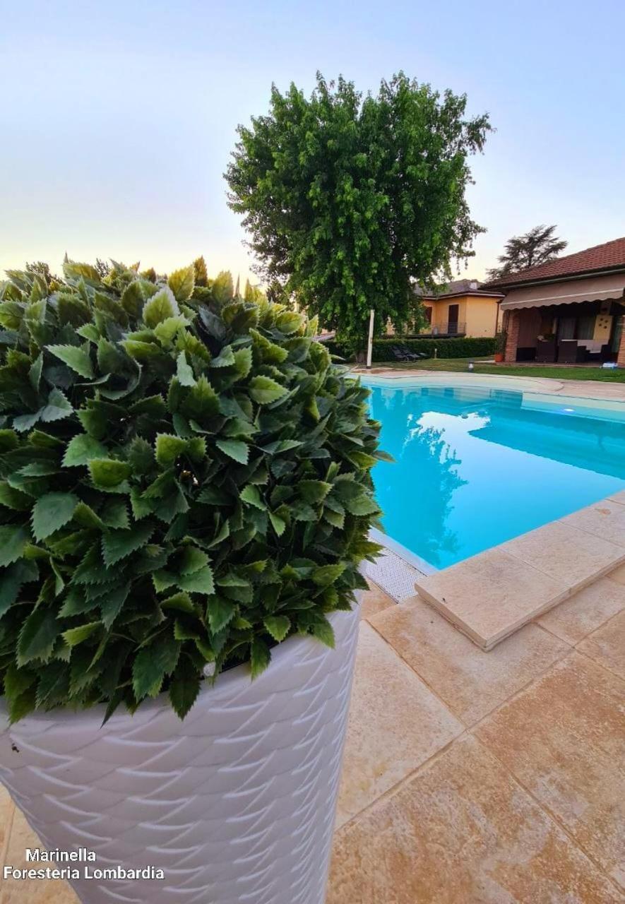 Marinella B&B Cornale Exterior foto